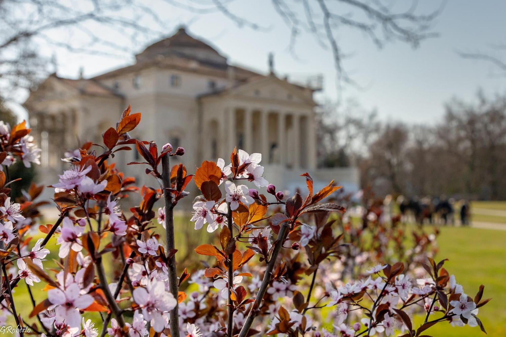 Appartamentopalladio140 Виченца Екстериор снимка